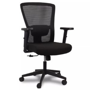 Cadeira Diretor de Tela Confort Plus Bulk - Ergonômica